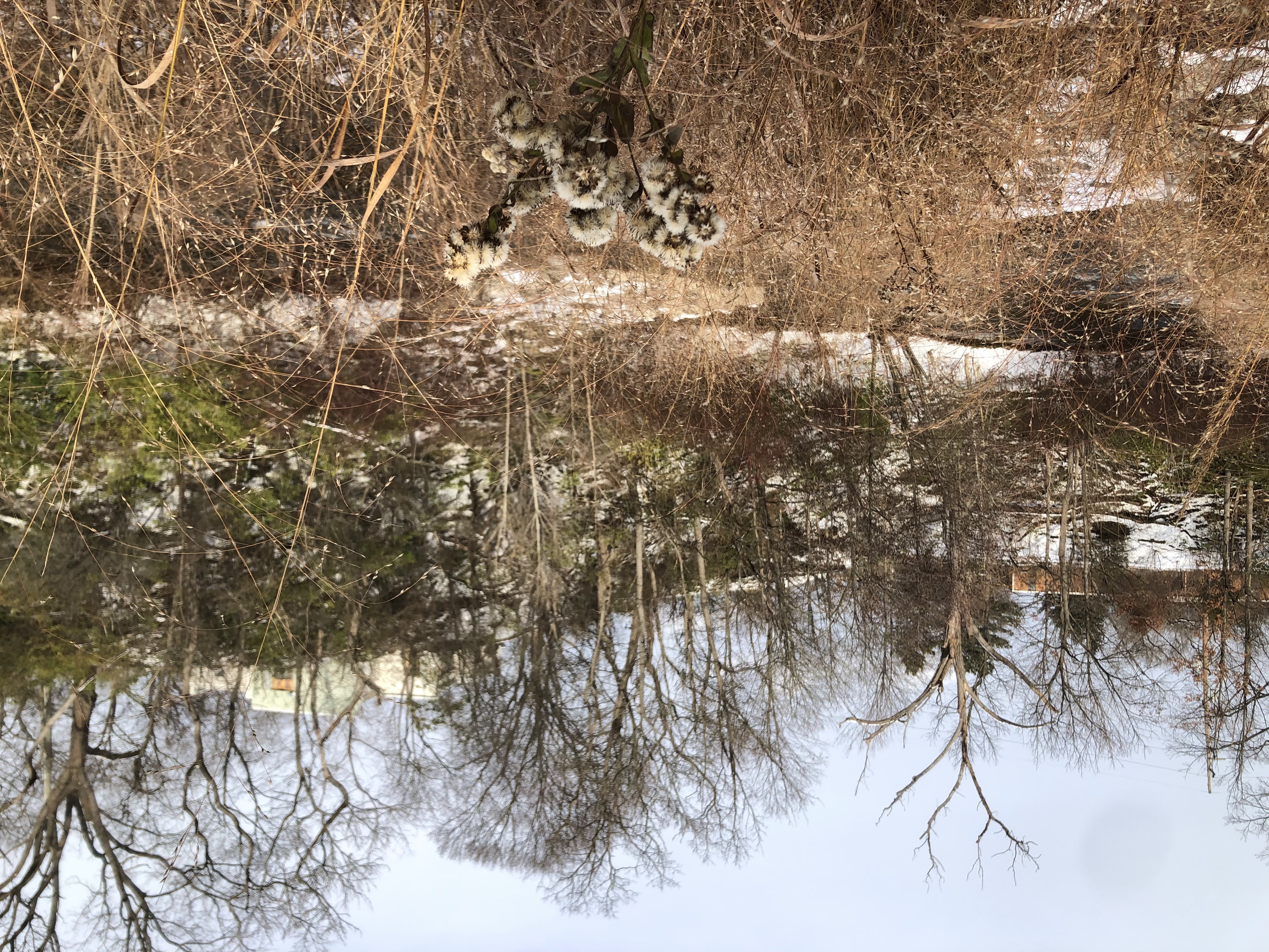 outdoors on a field in the winter